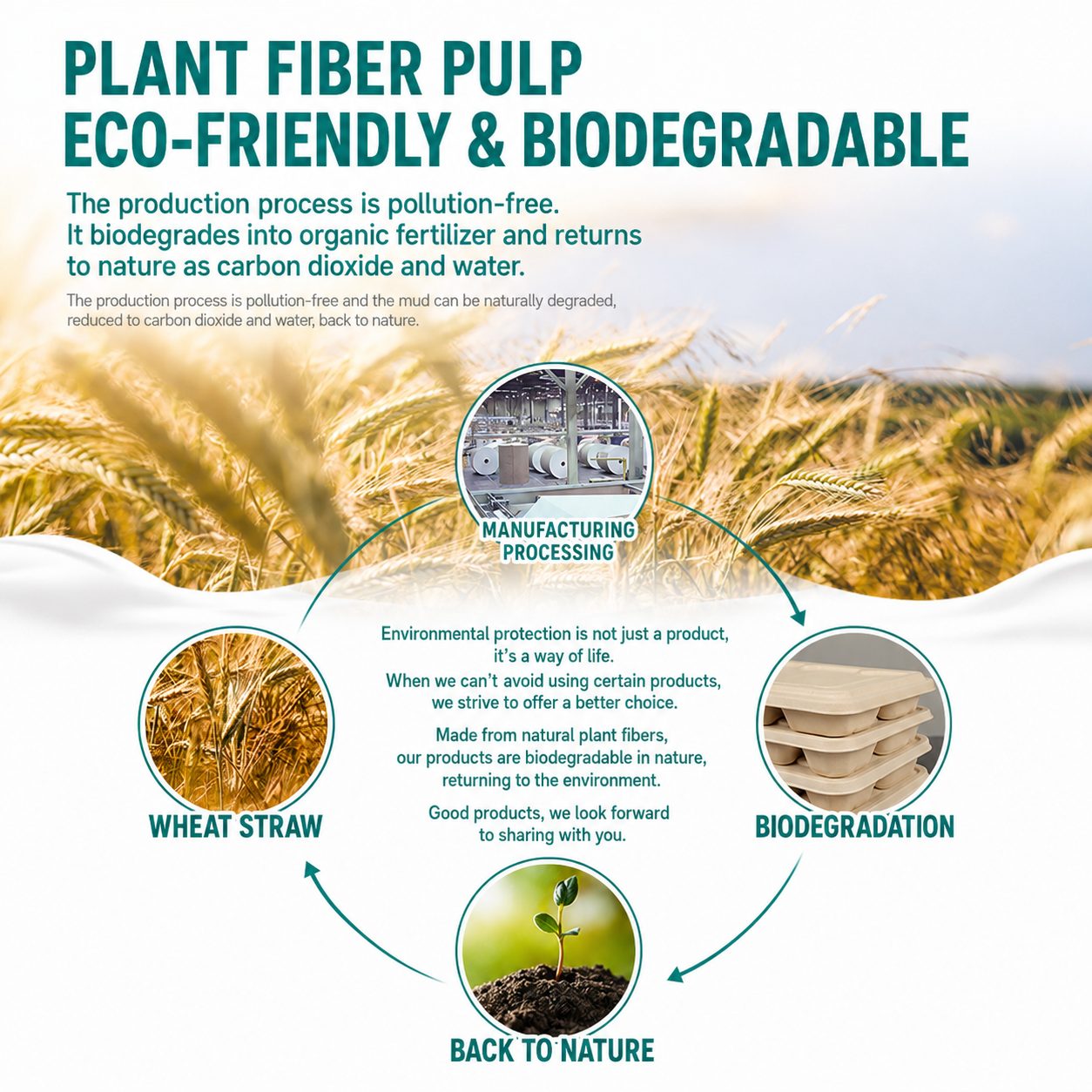 Plant Fibre Pulp Compartment Takeaway Meal Boxes 6